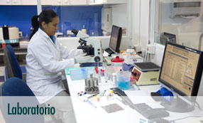 laboratorio