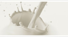 Beneficios de la Leche