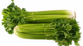 Consuma Apio Limpia La Sangre Y Disminuye El Colesterol
