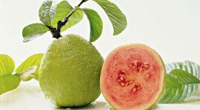 La Guayaba aporta más Vitamina C que la Naranja