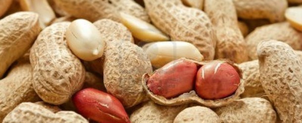 El Maní y sus propiedades antioxidantes