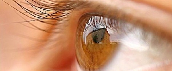 Cuida tus ojos, alimentos que protegen tu vista