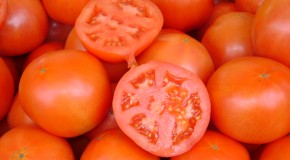 Beneficios del tomate: un súper alimento