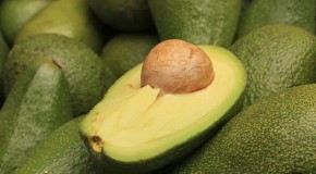 Aguacate: un alimento saludable